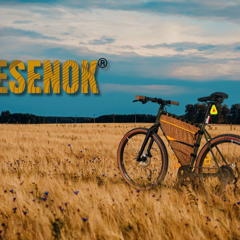 LOGO LESENOK